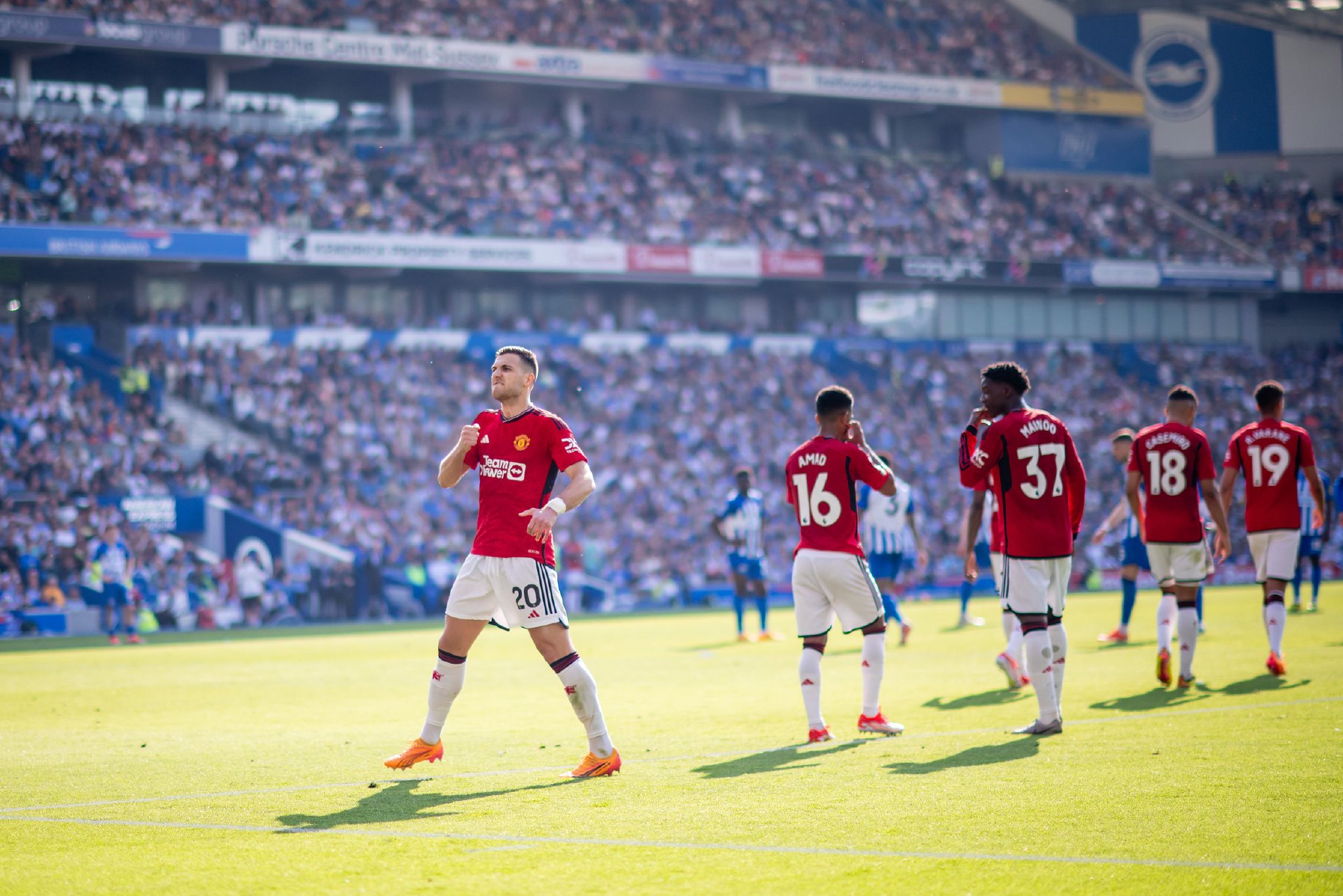 乓球界中 乓球界中